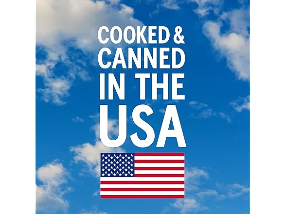 Bush's Canned Black Beans (Pack of 1)