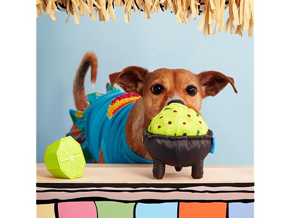 Barkbox Stop Guac and Mole Dog Toy | Plush