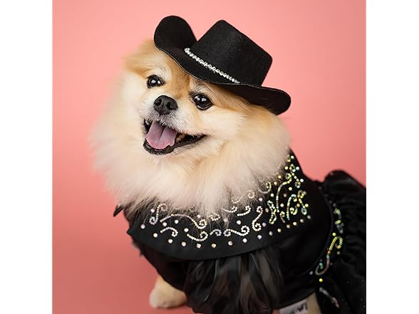 Doggy Parton Fur Trimmed and Rhinestone Hat