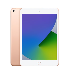 Apple 7.9" iPad Mini 5 (2019) Your Choice (S&D) (Open Box) - Gallery 10