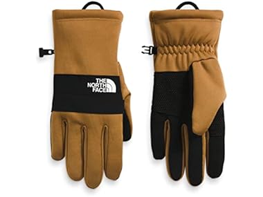 $29.99, Was $40, 25% Off! TNF Men's Sierra ETIP Gloves dealfomo