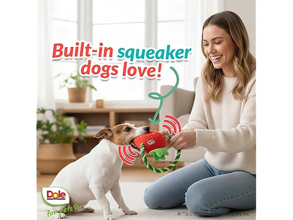Dole for Pets Dog Rope Toy with Squeakers Strawberry