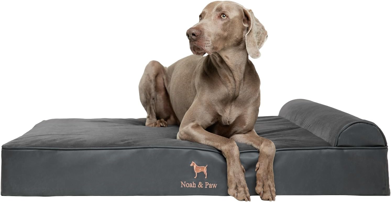 NOAH & PAW Dog Beds- Size and Style VARIES - Gallery 20