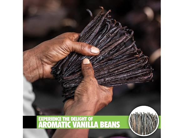 26 Organic Madagascar Vanilla Beans