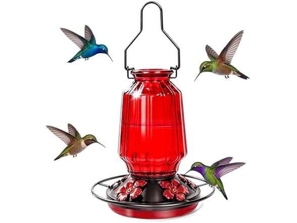 Green Glass Hummingbird Feeder
