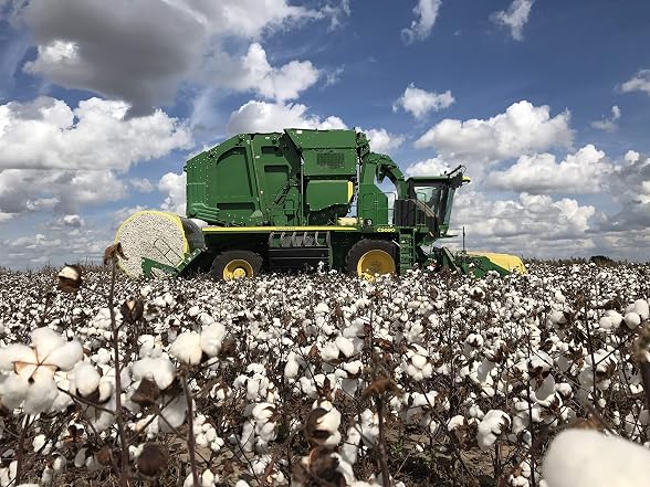 Grown in the USA Raw Cotton
