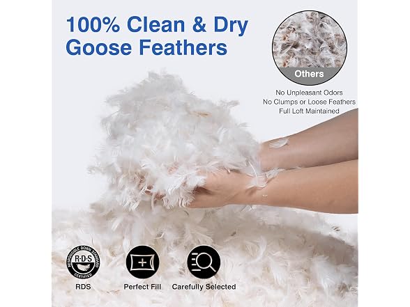 zibroges Feather Pillows Queen Set of 2
