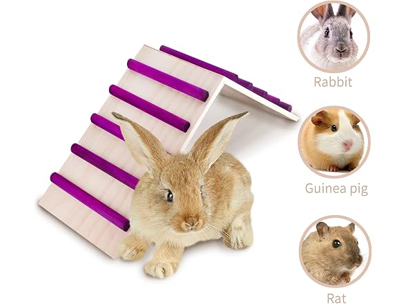 KREVEROY Wood Bridge for Small Animal Cage