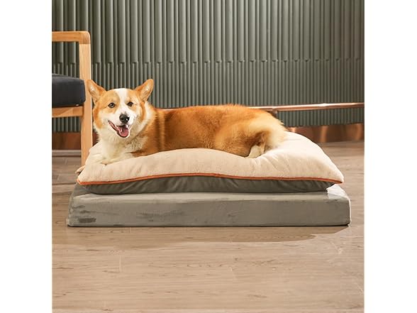 Amazon Basics Dog Bed with Cooling Gel Memory Foam