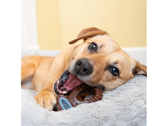SPOT Bam-Bones Dental Pacifier Dog Chew Toy, Bison