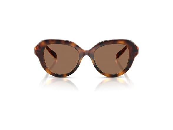 Swarovski SK6037 Sunglasses