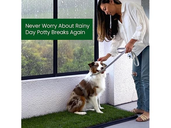 Fresh Patch Real Grass Patch for Dogs, Cats,