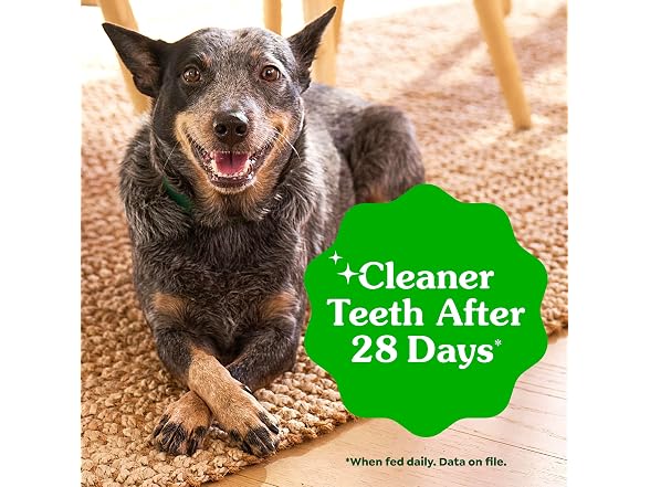 130CT Greenies Veterinarian-Recommended Adult Dog Treats