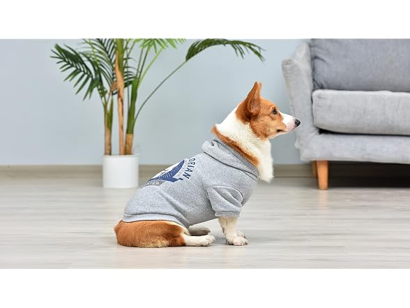 Star Wars for Pets The Mandalorian Dog Hoodie, M