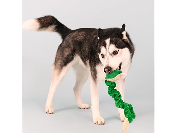 Hisses & Kisses Plush Dog Toy