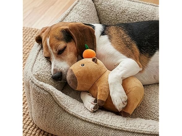 SPOT Capybara with Orange Plush Dog Toy
