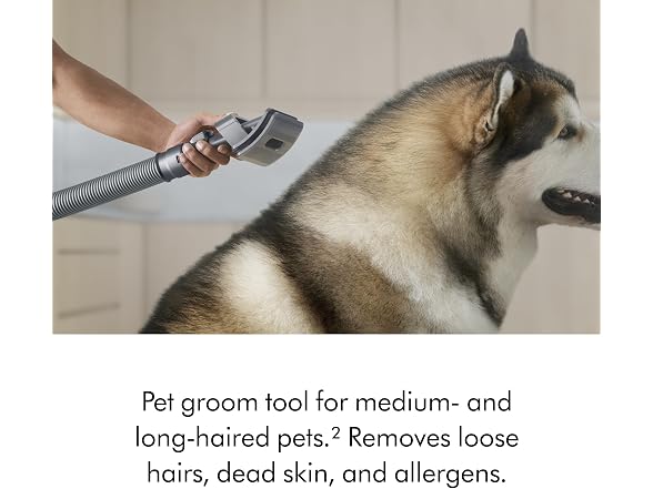 (NEW) Dyson Ball Animal 3 Extra Upright Vacuum