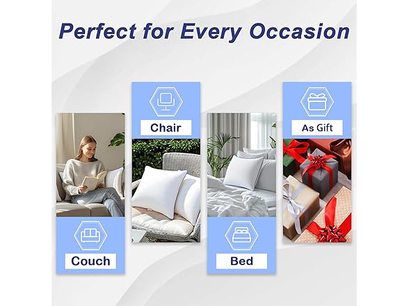 Pillow Insert Set of 2