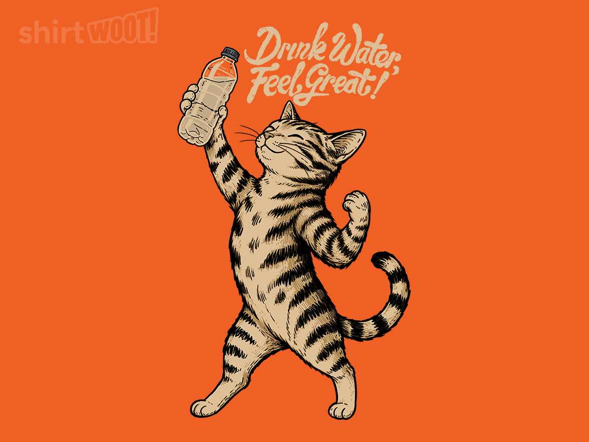 Drink Water Feel Great - Gallery 4