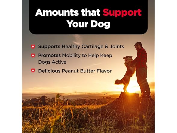 Nutri-Vet Hip & Joint Biscuits for Dogs
