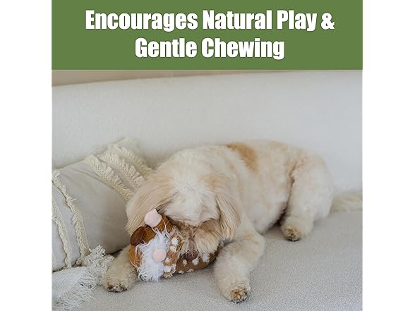 SPOT Woodsy Gnome Dog Toy