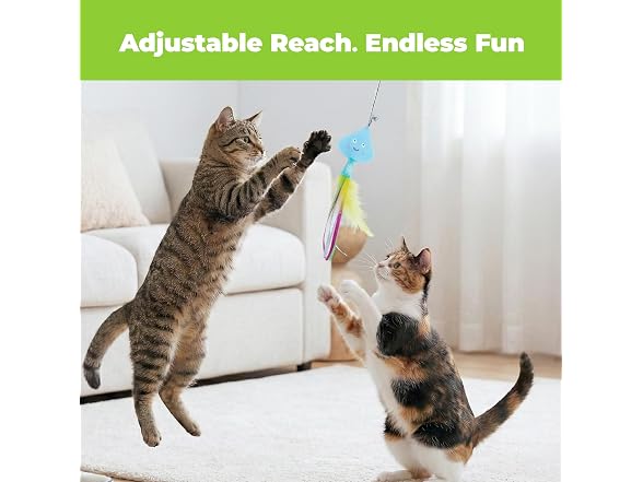 Catify Interactive Teaser Cat Wand Toy - Meow Chase Playset