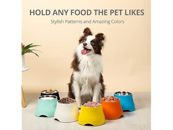 yoken Elevated Dog Bowl