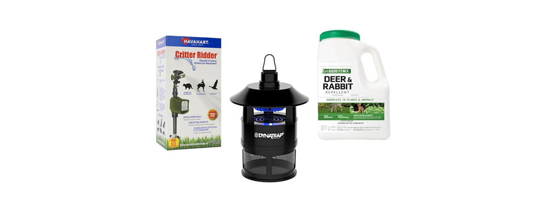 Pests Be Gone! - Gallery 2