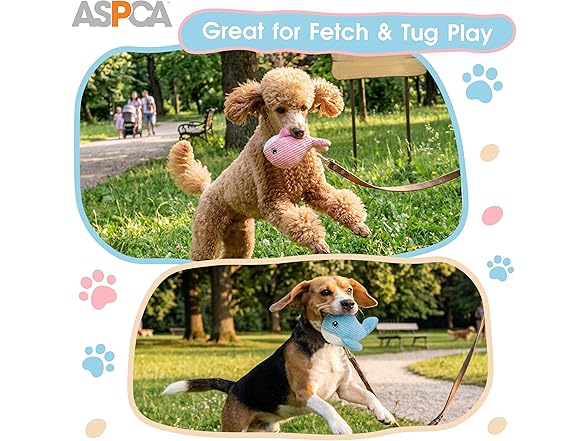 ASPCA 2 Pack Plush Dog Toy with Squeaker