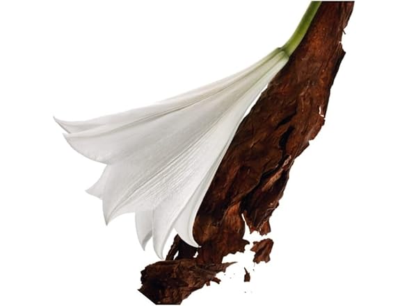 YSL Mon Paris EDP for Women 3 Oz/ 90 Ml