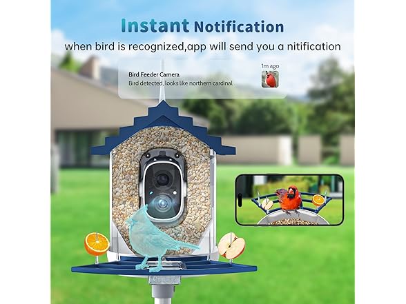 NAVFS AI Smart Bird Feeder | 2K | 2.4Ghz