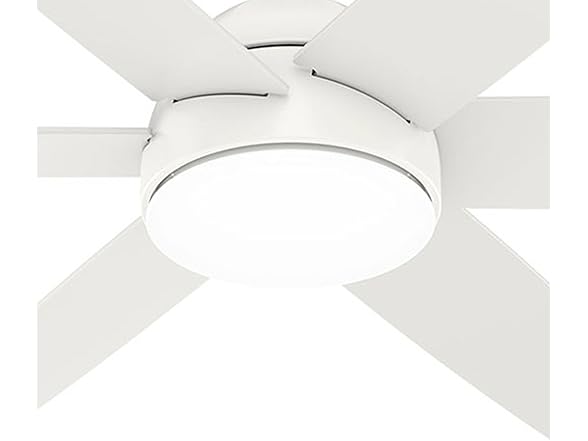 Hunter Fan 52 Inch White Indoor Ceiling Fan with Light and Remote