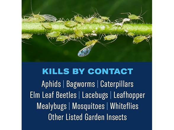 BioAdvanced Tree & Shrub Insect Killer