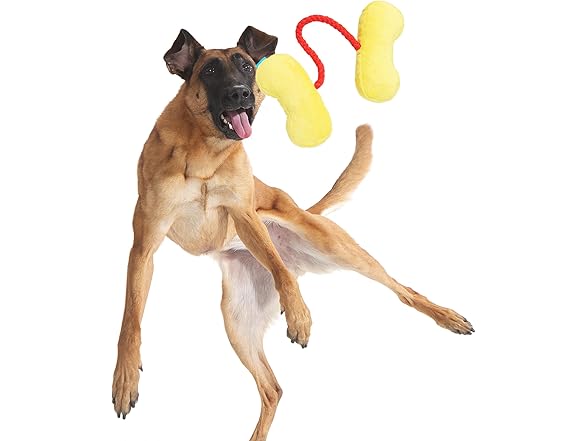 Barkbox Ate-Bit Tug Dog Toy