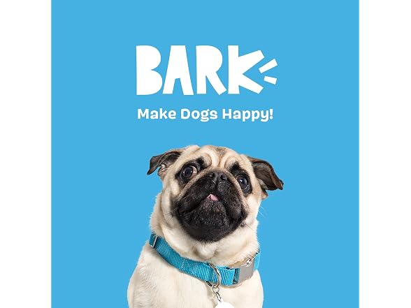 BarkBox The Party Farter Dog Toy | Wearable Party Hat Toy - Gallery 7