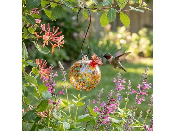 Red Carpet Hummingbird Feeder Multicolor