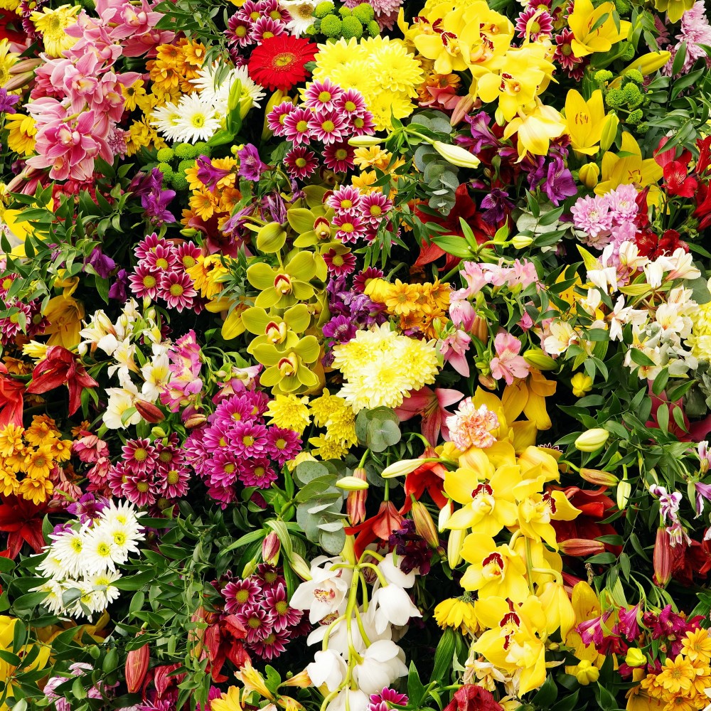 Summer Wedding Collection (100 Bulbs) - Gallery 16