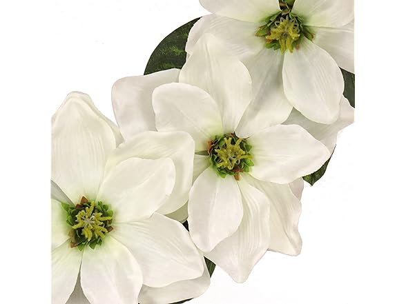 National Tree Company 24" Artificial Wreath with Magnolias