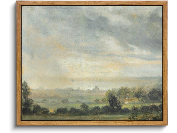 Green forest valley