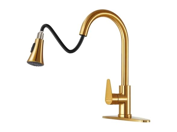 Rainovo Kitchen Faucet with Pull Down Sp