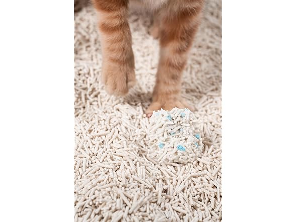 pidan Tofu Cat Litter with Occult Blood Test