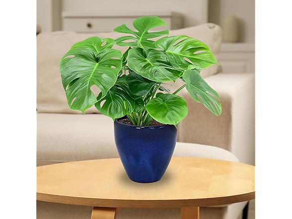 Sunnydaze Round Resort Ceramic Planter - Set of 2