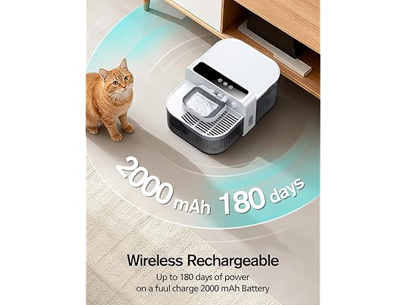 Wireless Cat Water Fountain with No Filters