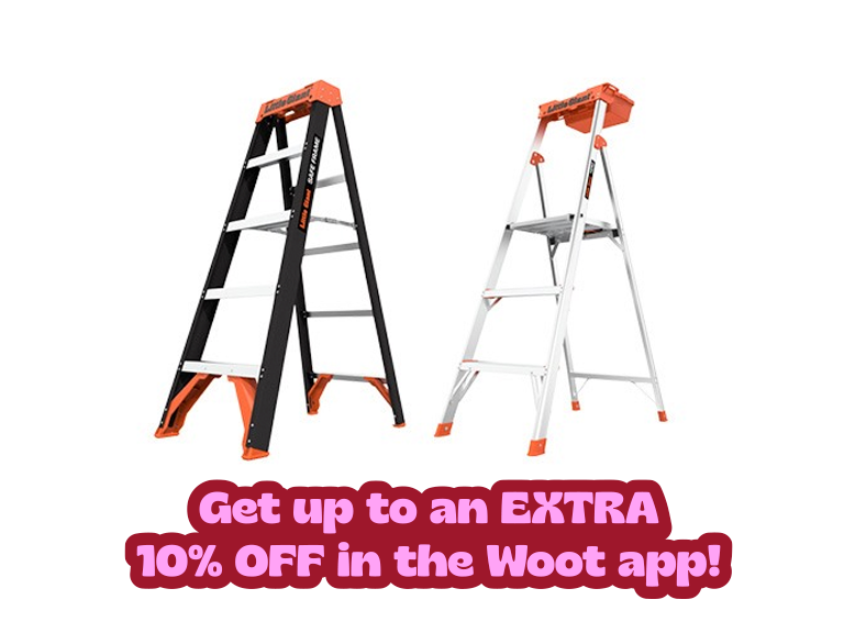 Little Giant Ladders! - Gallery 2