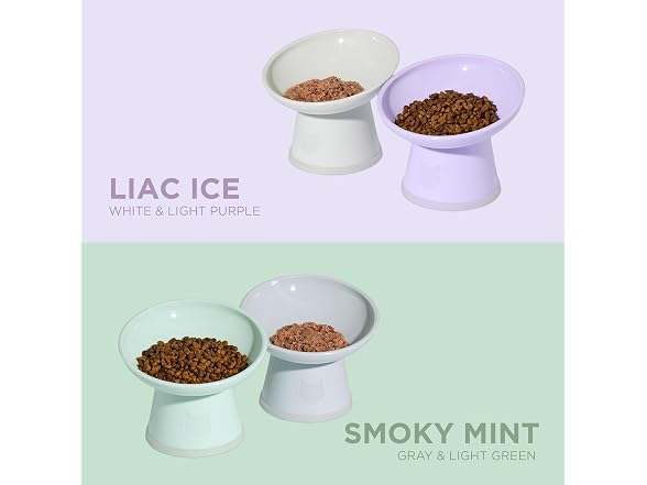Necoichi 2pcs Tilted Elevated Cat Food Bowls