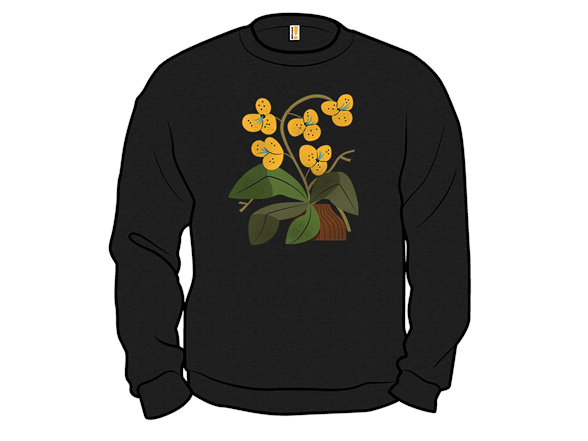 Yellow Orchid