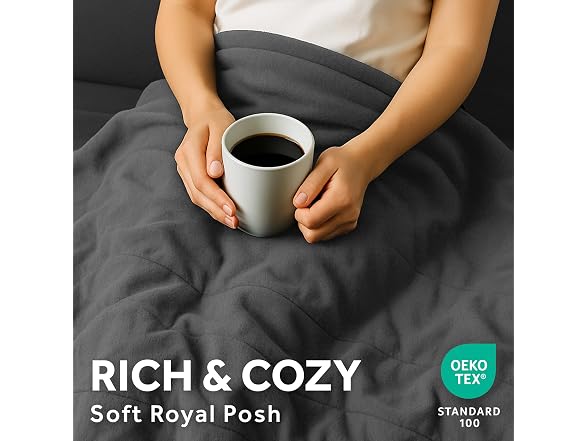 Sunbeam Royal Posh Velvet Heated Blanket