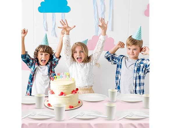 NASUN Paper Disposable Dinnerware Set