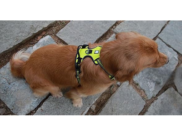 Chai's Choice Dog Harness Vest Small (Lemon Lime)