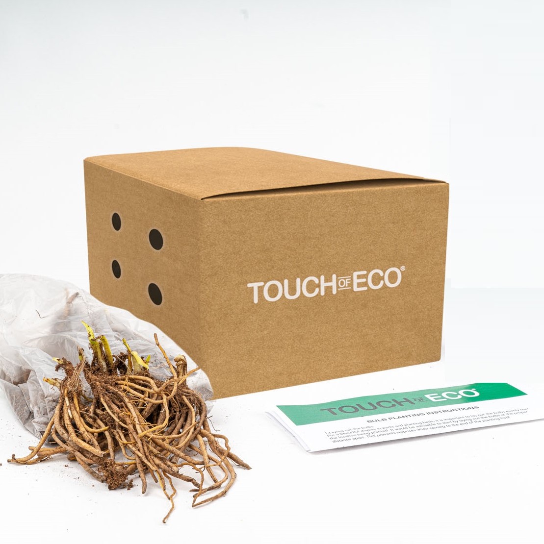 Lily of the Valley Flowers - 12 or 20 Bulbs - Gallery 12